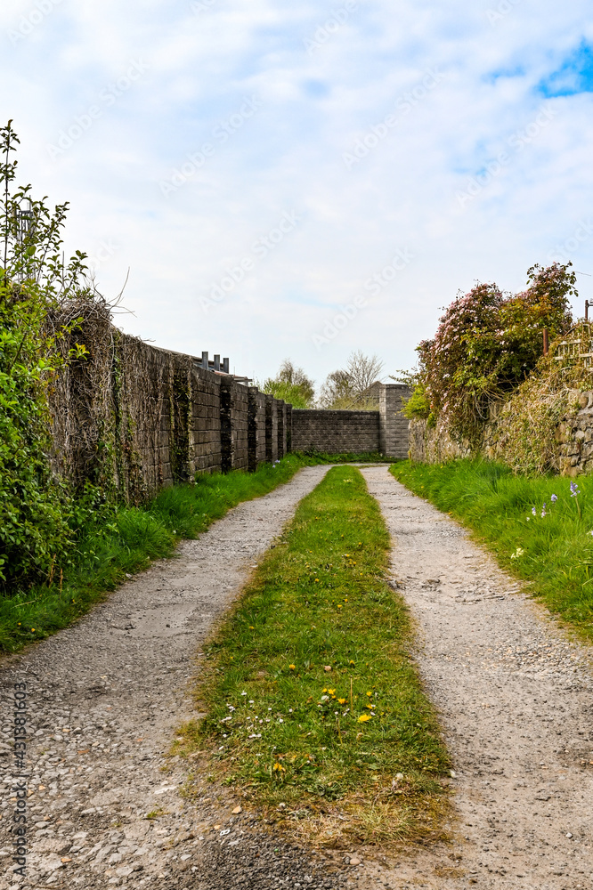 Narrow back lane with gravel for vehicles and a centre grass strip. No people.