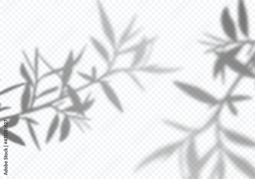 Vector Transparent Shadows of Olive Leaves. Decorative Design Elements for Collages. Creative Overlay Effect for Mockups