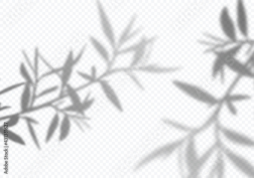 Vector Transparent Shadows of Olive Leaves. Decorative Design Elements for Collages. Creative Overlay Effect for Mockups