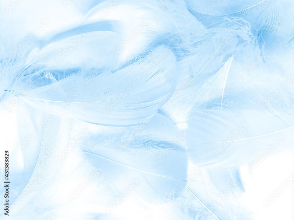 Fototapeta premium Beautiful abstract blue feathers on white background, white feather texture and blue background, feather wallpaper, blue texture banners, love theme, valentines day, light blue texture, white gradient
