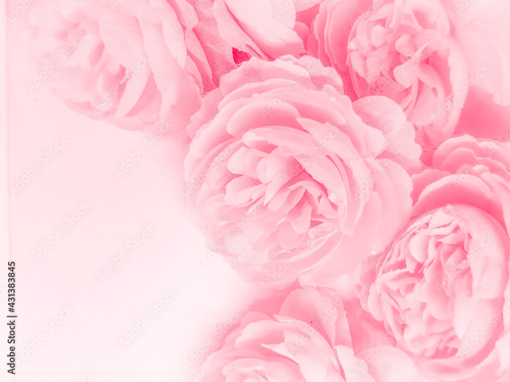 Beautiful abstract color red flowers on white background, light pink flower frame, pink leaves texture, gray background, valentines day, love theme, pink texture, white gradient Beautiful abstract color red flowers on white background, light pink flower frame, pink leaves texture, gray background, valentines day, love theme, pink texture, white gradient