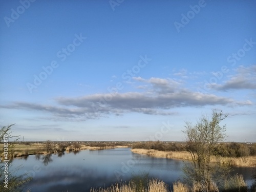 Landscape overlooking the lake with reeds.