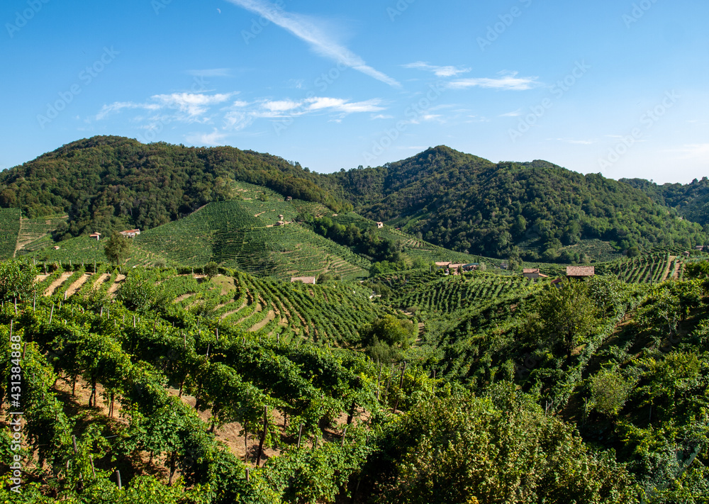 Picturesque hills with vineyards of the Prosecco sparkling wine region in Guietta and Guia. Italy.