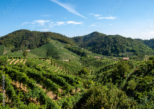 Picturesque hills with vineyards of the Prosecco sparkling wine region in Guietta and Guia. Italy.