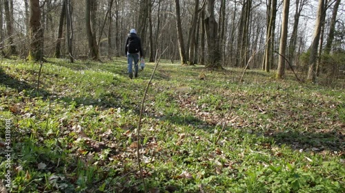 The girl goes deep into the forest for spring mushrooms on a sunny day