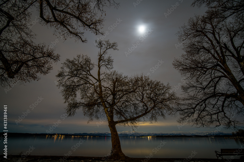 Fototapeta premium Vollmond