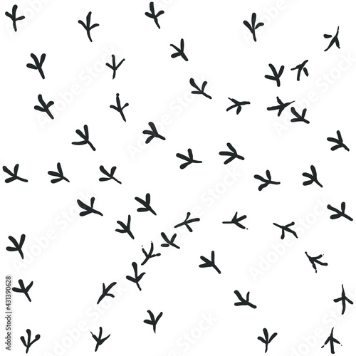 Seamless vector pattern of a dove bird footprints