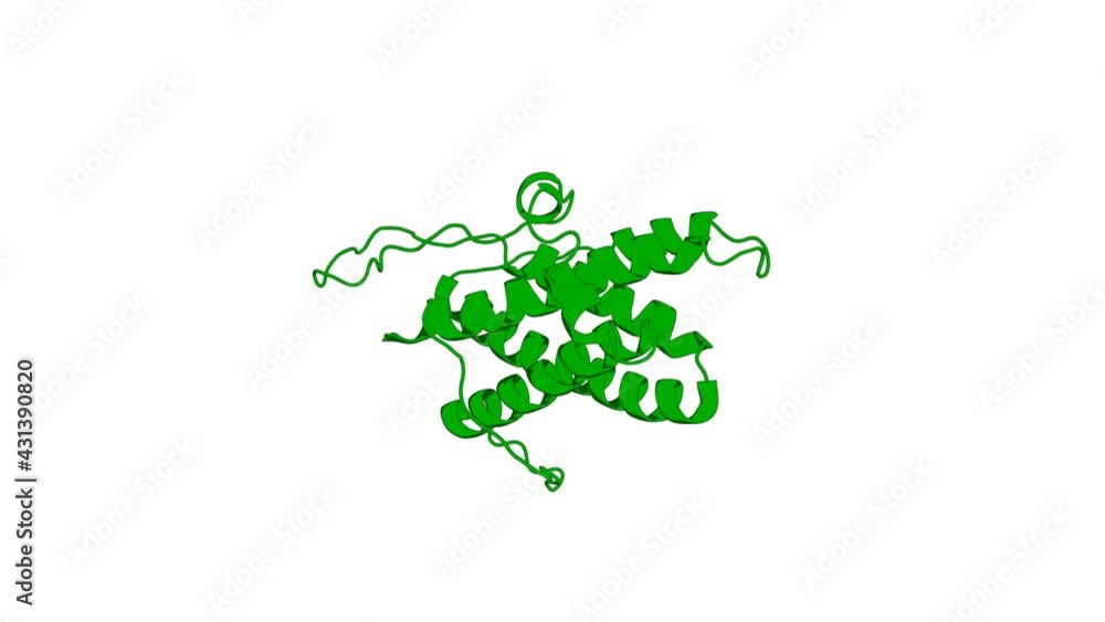 360º realistic 3D rendering of a biological molecule. Conservation of functional sites on interleukin-6 and implications for evolution of signaling complex assembly and therapeutic intervention. 360º realistic 3D rendering of a biological molecule. Conservation of functional sites on interleukin-6 and implications for evolution of signaling complex assembly and therapeutic intervention.