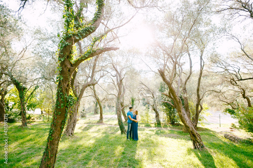 Man hugs pregnant woman in a beautiful park of green olive trees entwined with ivy on a sunny day