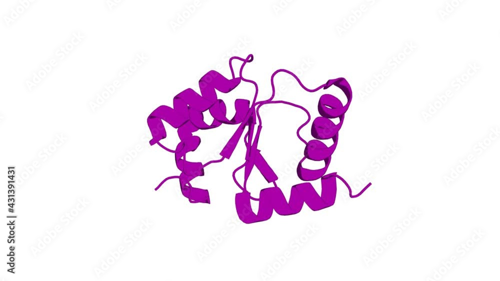 360º realistic 3D rendering of an animated biological molecule over a white background with alpha mask. Structure-guided activity enhancement and catalytic mechanism of yeast grx8 360º realistic 3D rendering of an animated biological molecule over a white background with alpha mask. Structure-guided activity enhancement and catalytic mechanism of yeast grx8