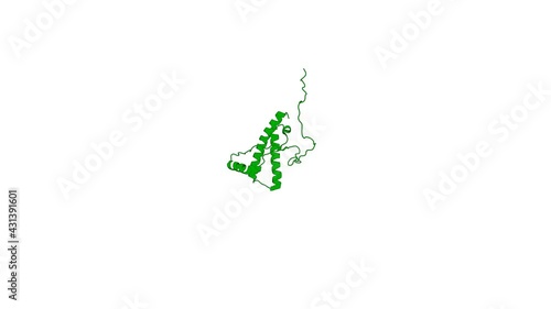 360º realistic 3D rendering of an animated biological molecule over a white background with alpha mask.  Solution structure of mule deer prion protein with polymorphism S138