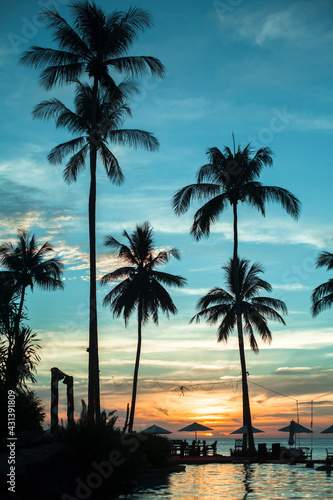 Silhouettes of palm trees on the tropical beach during amazing sunset.