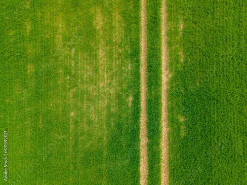 top down aerial green field with long path © blesz