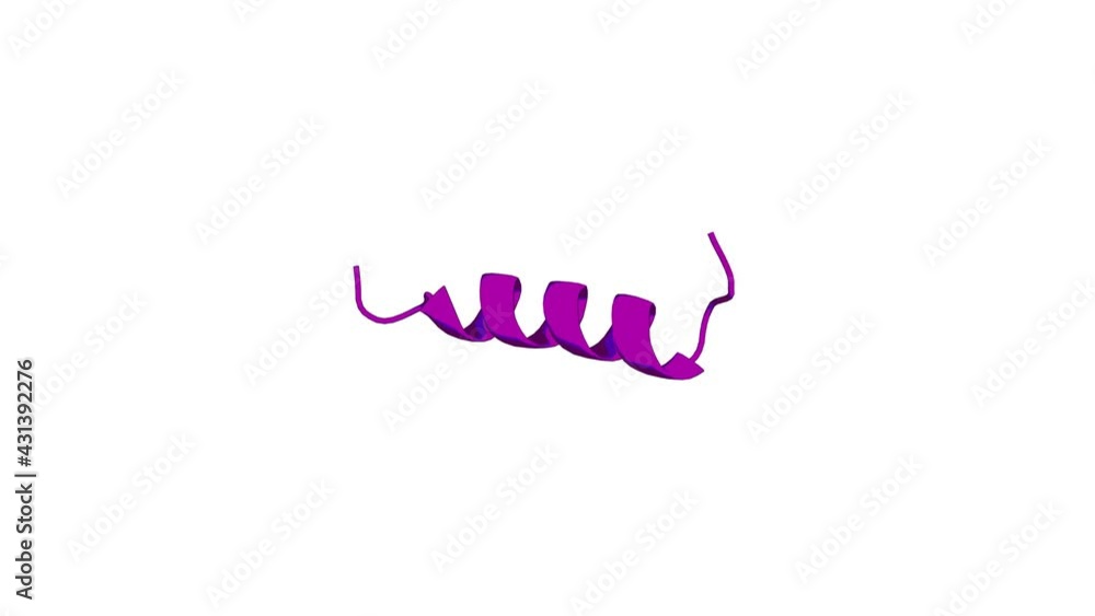 360º realistic 3D rendering of a biological molecule. Interactions between antimicrobial peptide, HP(2-20) derived from helicobacter pylori, and membrain studied by nmr spectroscopy 360º realistic 3D rendering of a biological molecule. Interactions between antimicrobial peptide, HP(2-20) derived from helicobacter pylori, and membrain studied by nmr spectroscopy