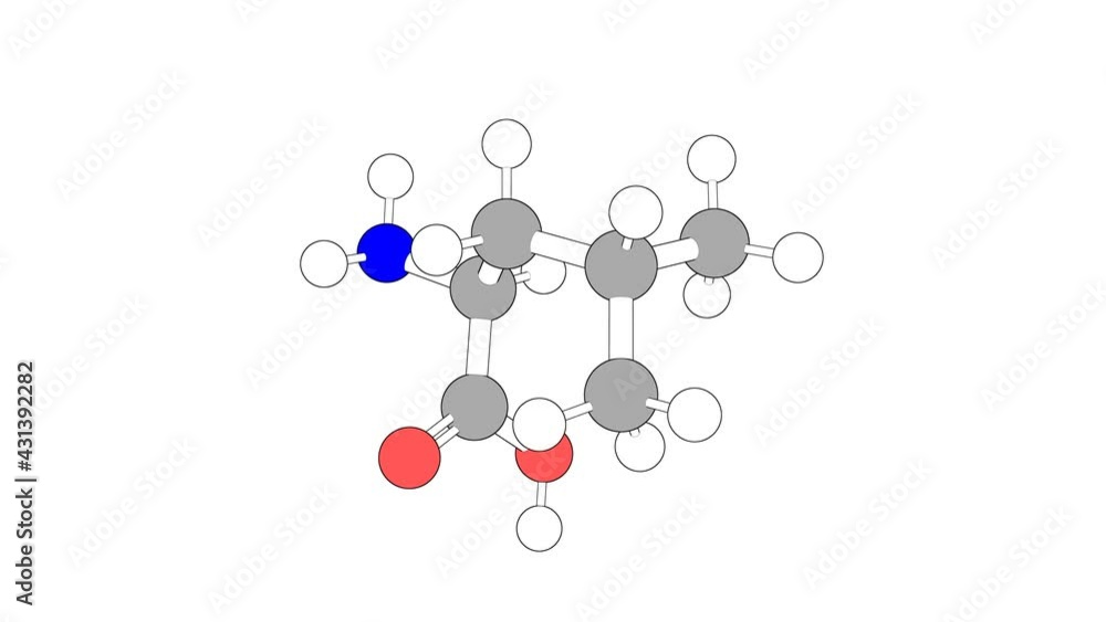 360º realistic 3D view of L-Leucine as a seamless loop over a white opaque background with alpha mask. Also called leucine and (s)-leucine. 360º realistic 3D view of L-Leucine as a seamless loop over a white opaque background with alpha mask. Also called leucine and (s)-leucine.
