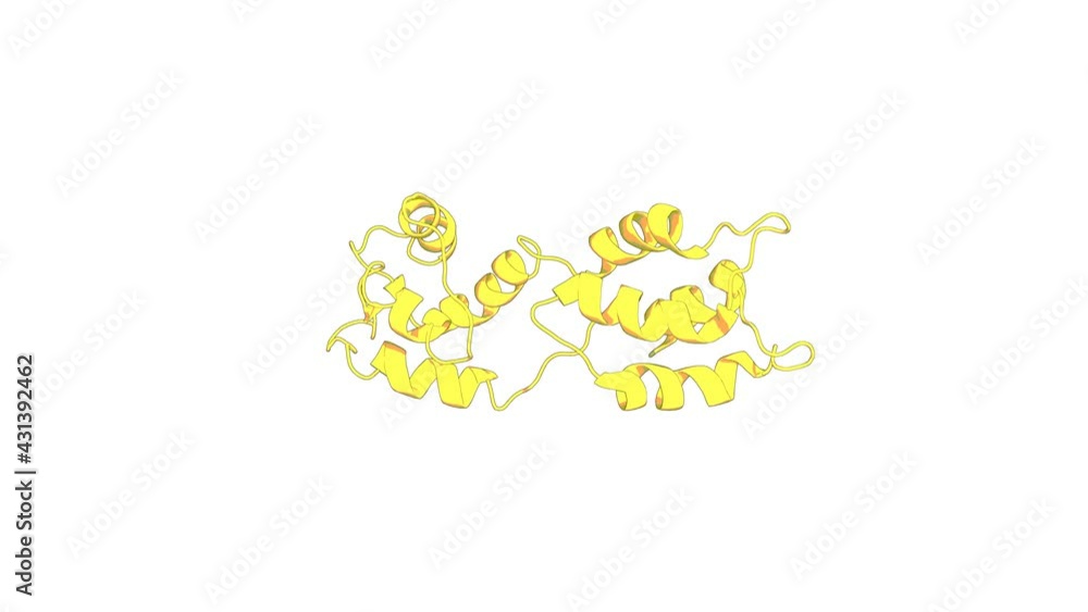 360º realistic 3D rendering of an animated biological molecule over a white background with alpha mask. Structural Consequences of Calmodulin EF Hand Mutations. 360º realistic 3D rendering of an animated biological molecule over a white background with alpha mask. Structural Consequences of Calmodulin EF Hand Mutations.