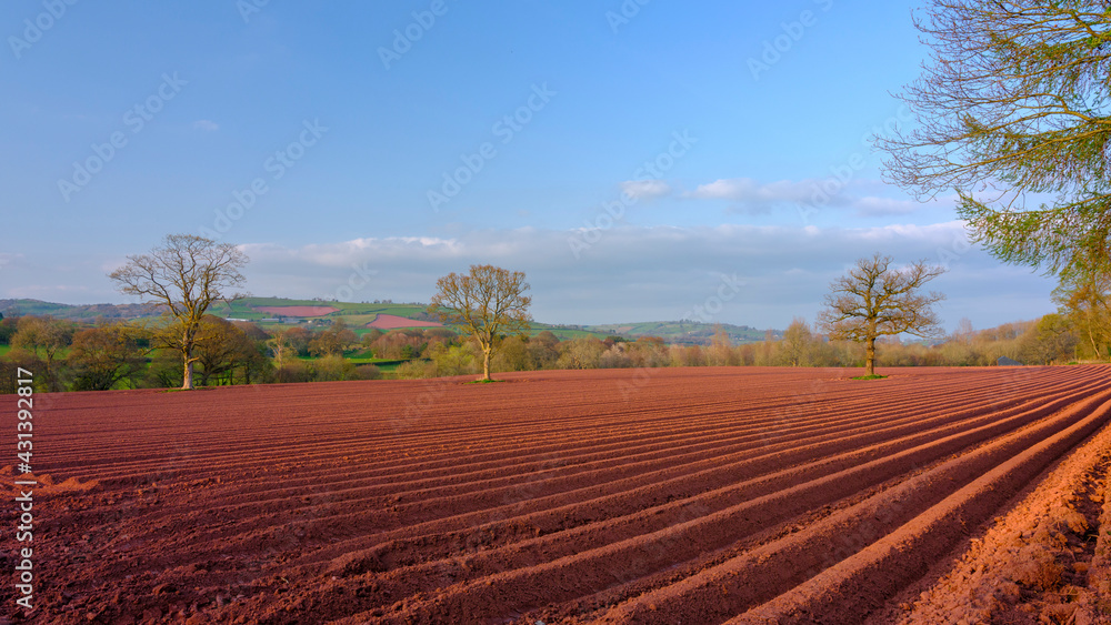 Golden hour light and striking earth colours in a newly ploughed field, near Brecon, Wales, UK Golden hour light and striking earth colours in a newly ploughed field, near Brecon, Wales, UK