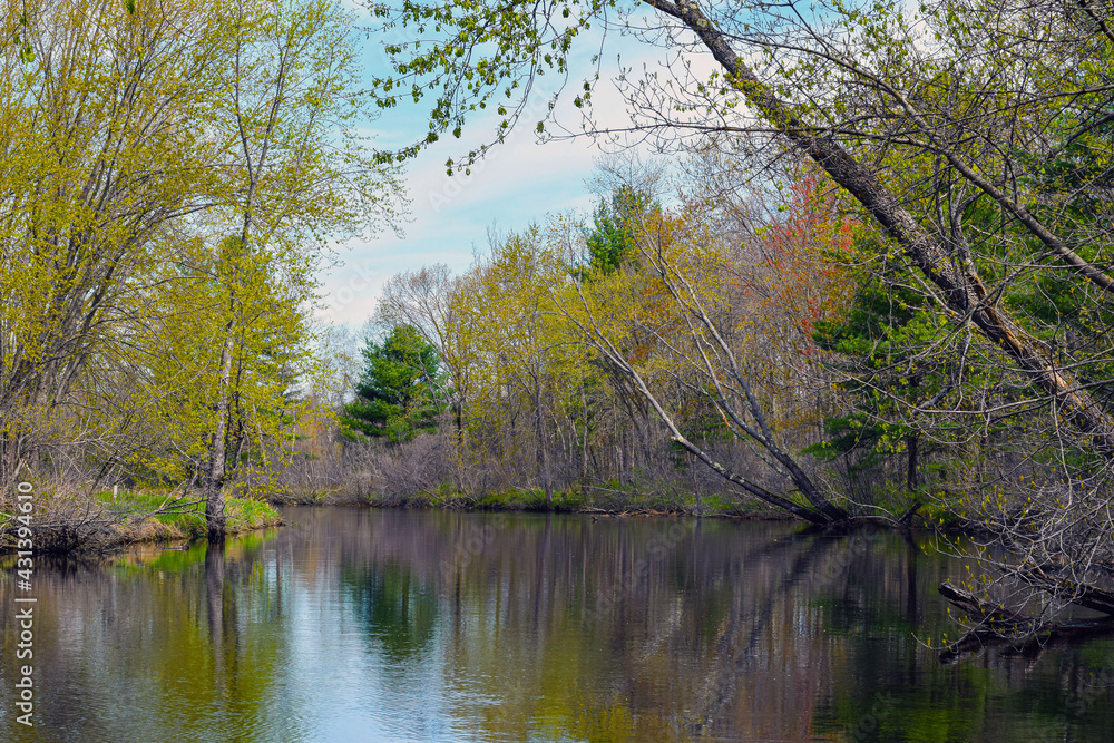 nashua river widing through the wilderness nashua river widing through the wilderness