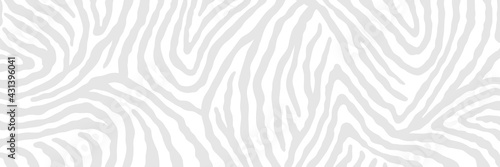 Vector abstract animalistic background. Freehand illustration of zebra skin print. Long horizontal banner.