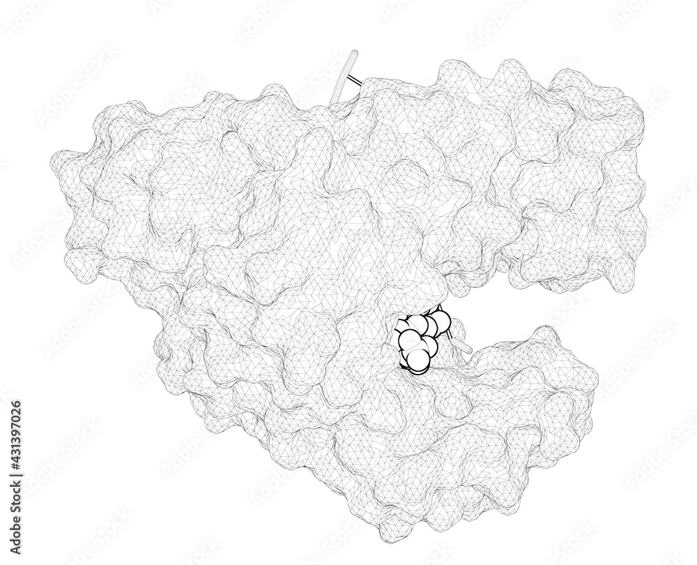 3D rendering as a line drawing of a biological molecule. Crystal