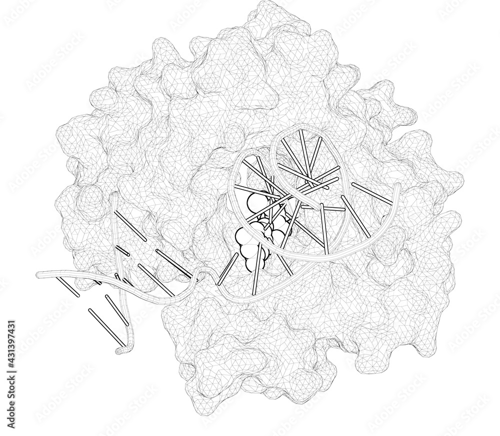 3D rendering as a line drawing of a biological molecule. Uncovering the