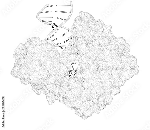 Fotografie 3D rendering as a line drawing of a biological molecule