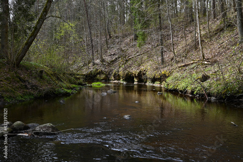 View of a small river with waves and stones in the forest in spring.