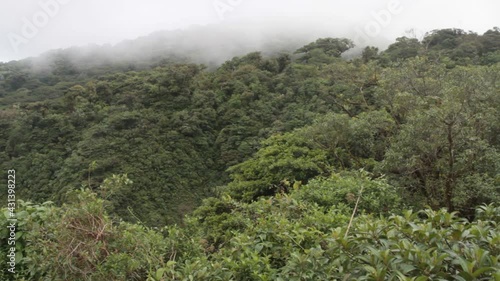 View of Arenal region in the morning, with mist over the green, lush forest and birds chirping