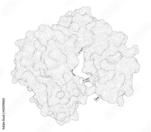 3D rendering as a line drawing of a biological molecule. N7 Methylation Alters Hydrogen-Bonding Patterns of Guanine in Duplex DNA. photo