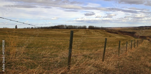 Prairie Farm