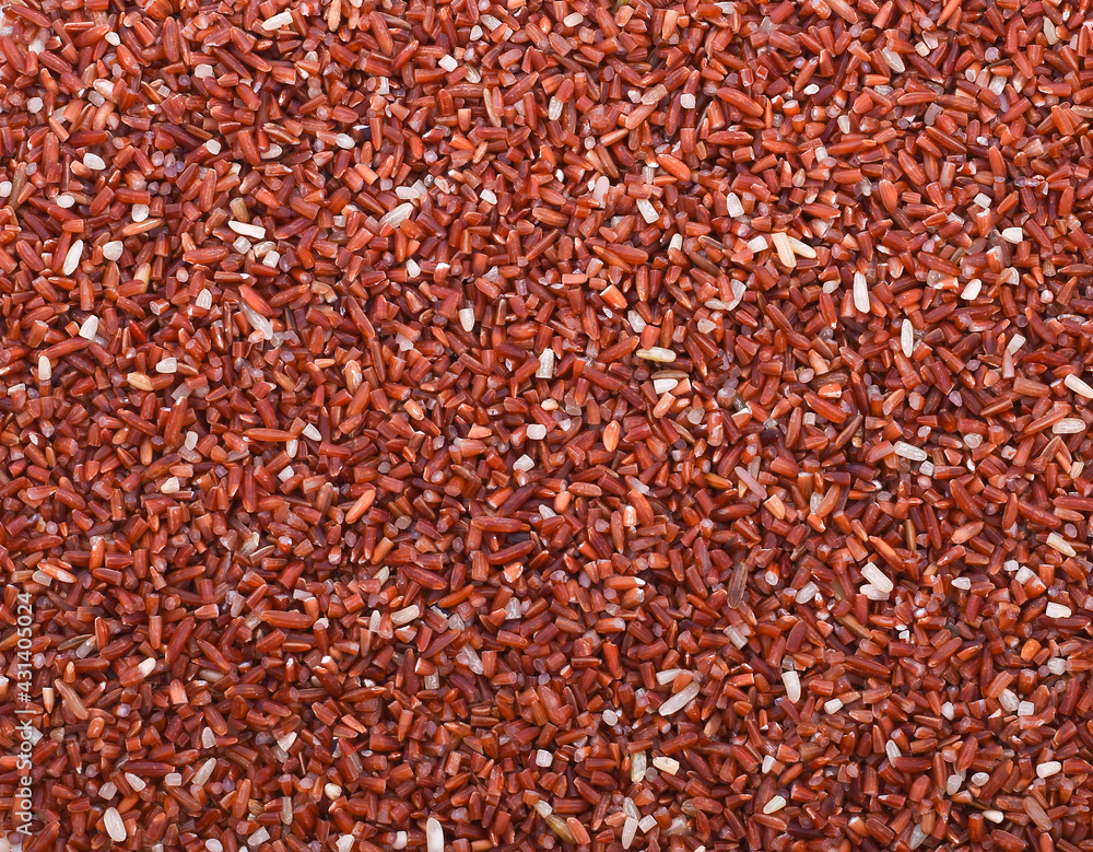 Raw organic riceberry rice in close up