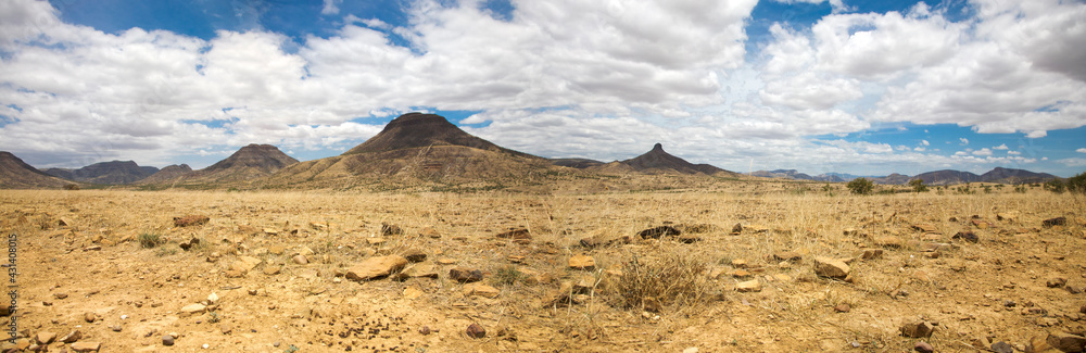 Surreal panorama of the Kaokoland game reserve in Namibia