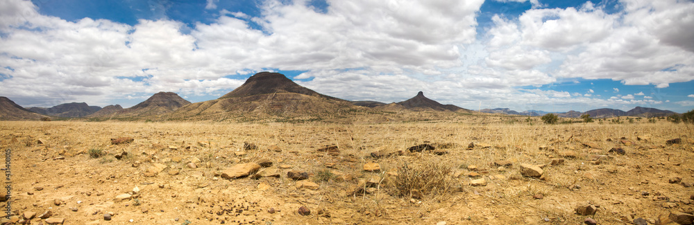 Surreal panorama of the Kaokoland game reserve in Namibia Surreal panorama of the Kaokoland game reserve in Namibia