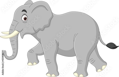 Cartoon elephant isolated on white background 