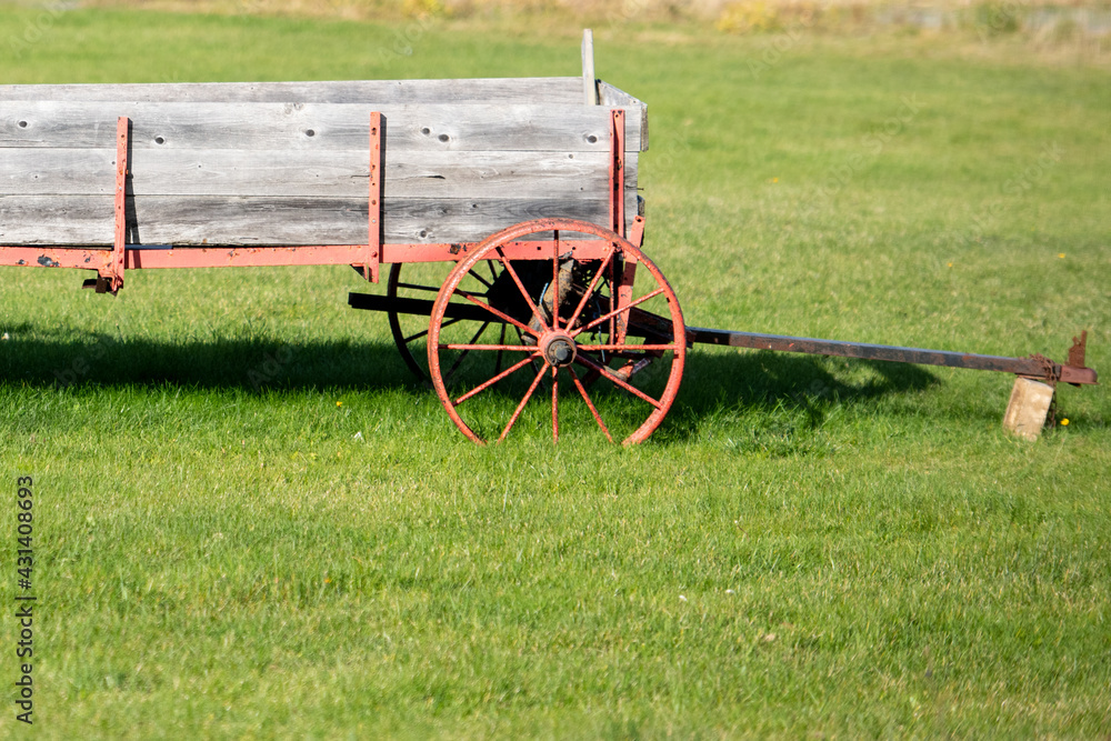 The ground is covered in vibrant green grass and there's a worn wooden