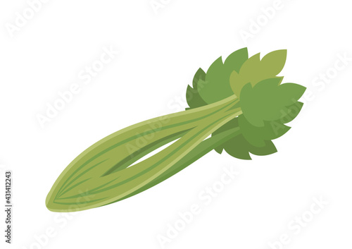 Celery comic cartoon vector isolated on white background