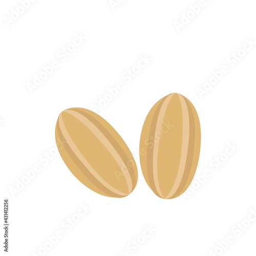 Brown rice comic cartoon vector isolated on white background