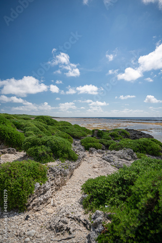 ペムチ浜（波照間島）