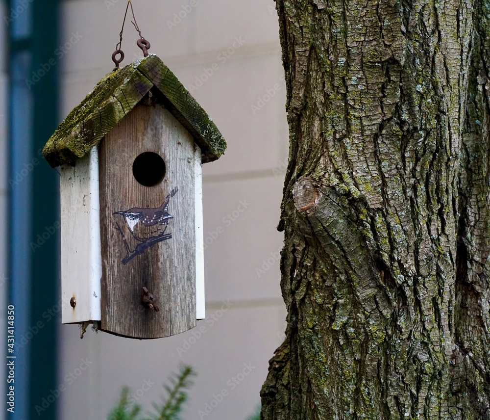 wooden bird house on a tree