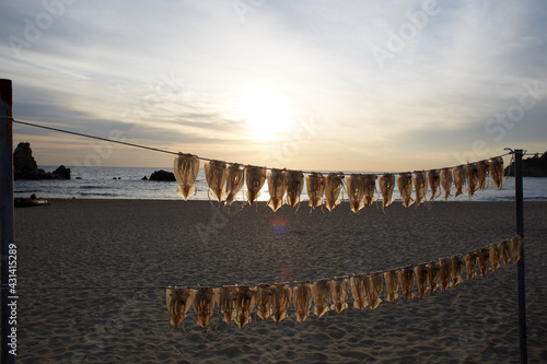 sunset on the beach with dried squid