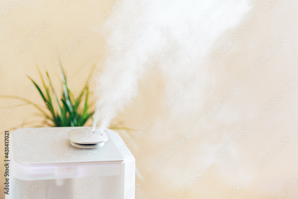 Humidifier is in working order, next to the house plant. Humidification, ionization and air purification. Health care. Disease prevention