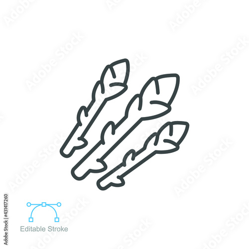 Asparagus icon. Nature vegetable food. sparrow grass Vegan. Dietary edible plant. asparagus sprout bundle vegetarian editable stroke outline style vector illustration design on white background EPS 10