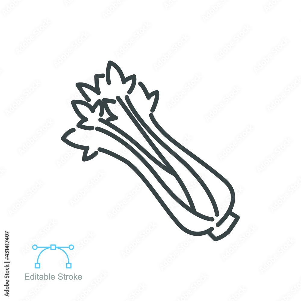 Fototapeta premium Celery icon bunch with stalks, leaves. fresh organic natural vegetable. Herbaceous vegan vegetarian detox food. outline style Editable Stroke vector illustration design on white background EPS 10