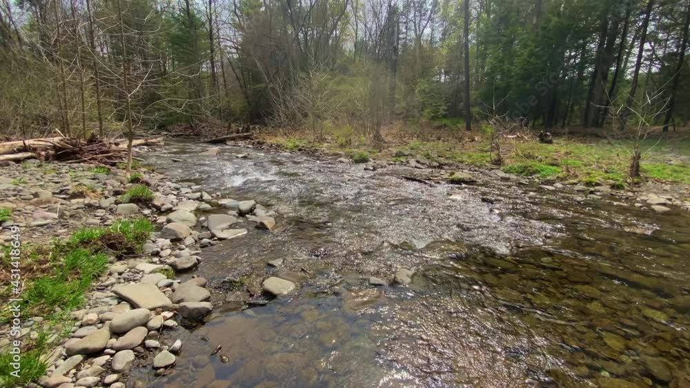 A beautiful stream in the catskill mountains during spring in new york state's hudson valley. The catskills are a sub-range of the appalachian mountains A beautiful stream in the catskill mountains during spring in new york state's hudson valley. The catskills are a sub-range of the appalachian mountains