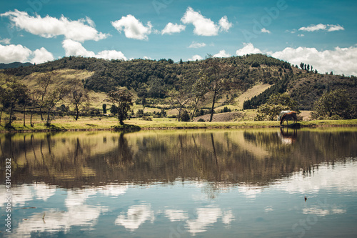 Paisaje Colombiano reflejando lago caballos bebiendo