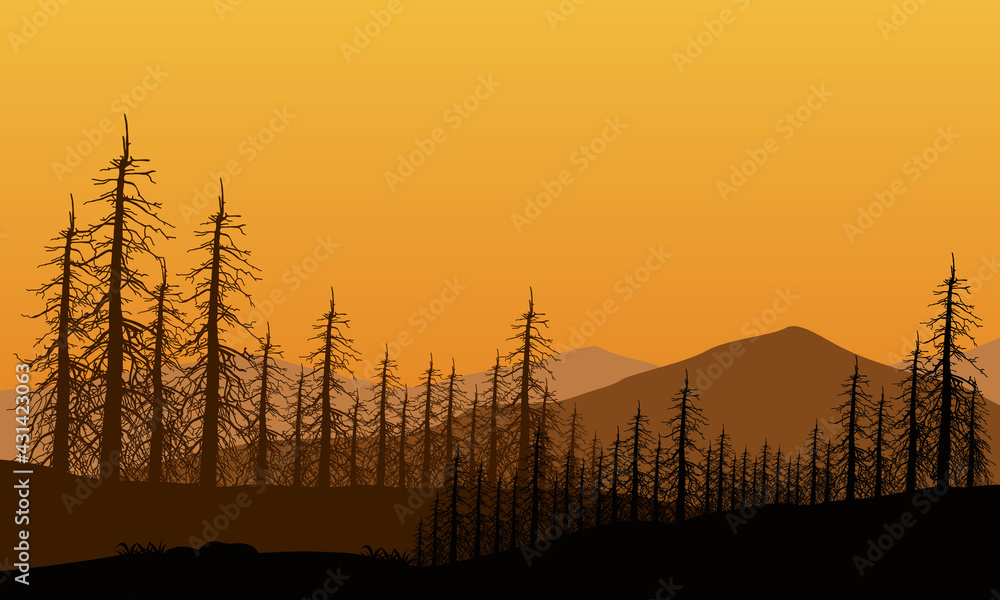 Panoramic views of mountains and forests in the evening. Vector illustration
