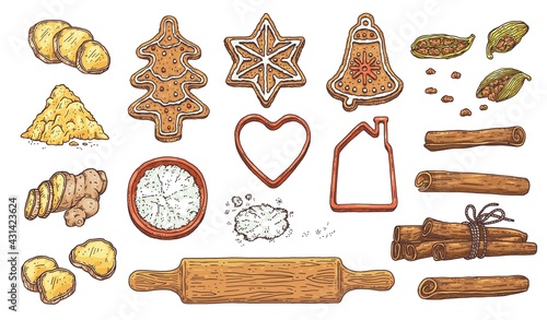 Ginger root, vanilla, christmas holiday cookies and gingerbread for santa.
