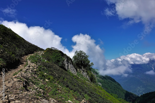 The path winds along the mountainside and hides. Around - blooming rhododendrons, wildflowers. Picturesque cumulus clouds in the blue sky. Alpine meadows of the Caucasus Mountains. Krasnaya Polyana.