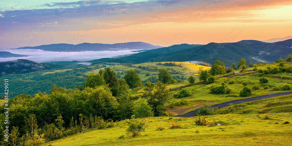Fototapeta mountainous rural landscape at dawn. trees and agricultural fields on hills rolling in to the distant misty valley. ridge beneath a colorful sky in morning light