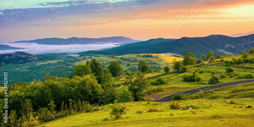 mountainous rural landscape at dawn. trees and agricultural fields on hills rolling in to the distant misty valley. ridge beneath a colorful sky in morning light